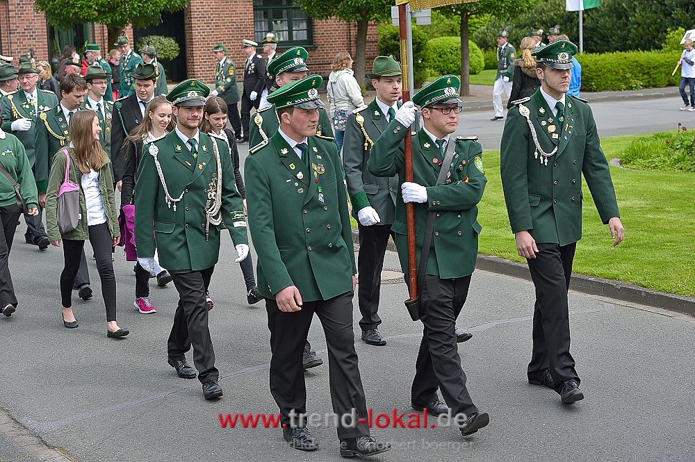 bokeljuschueNBO_8496