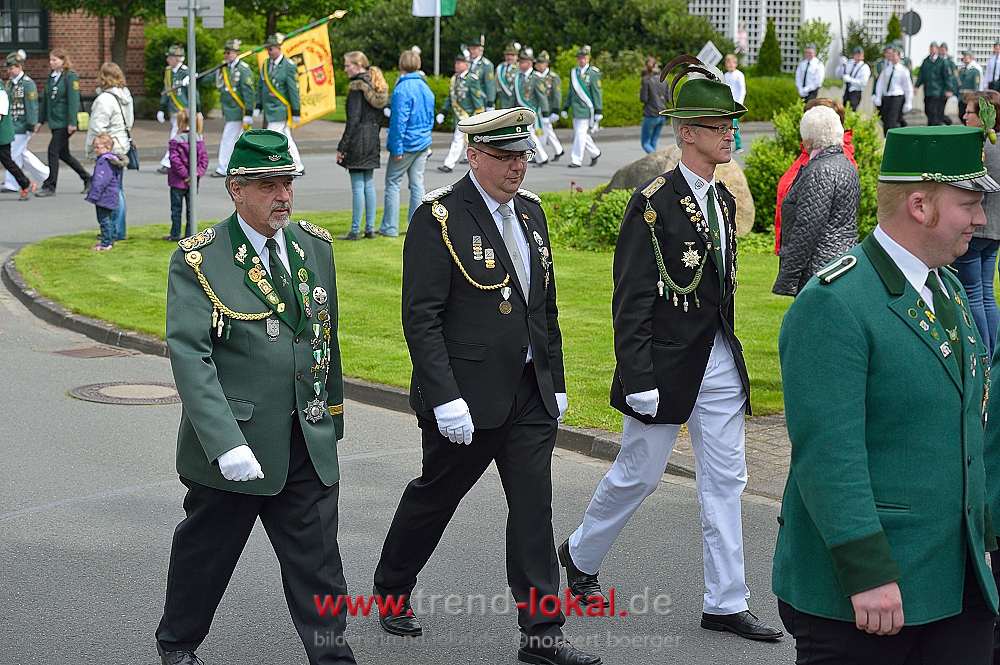bokeljuschueNBO_8505