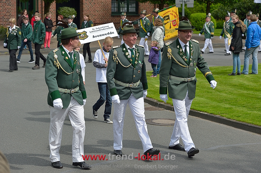 bokeljuschueNBO_8506