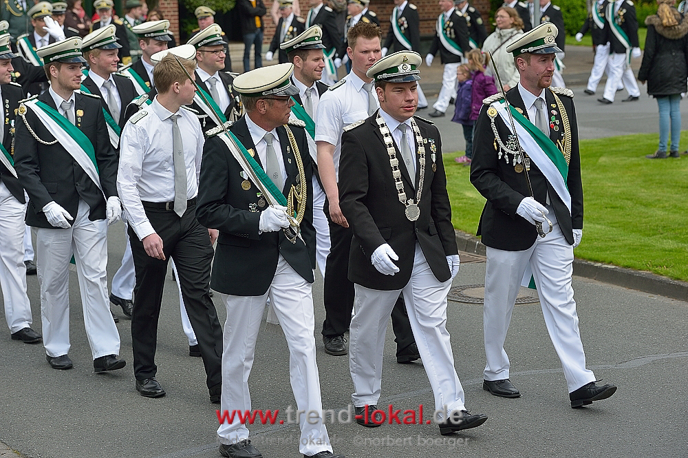 bokeljuschueNBO_8538