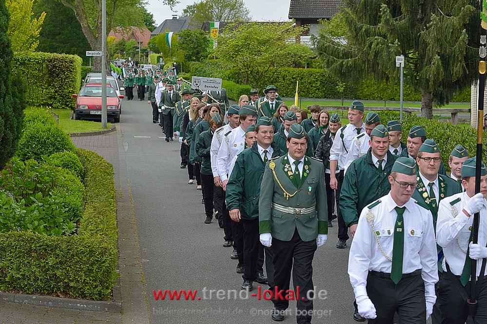 bokeljuschueNBO_8587