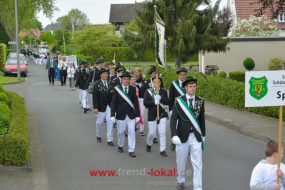 bokeljuschueNBO_8620