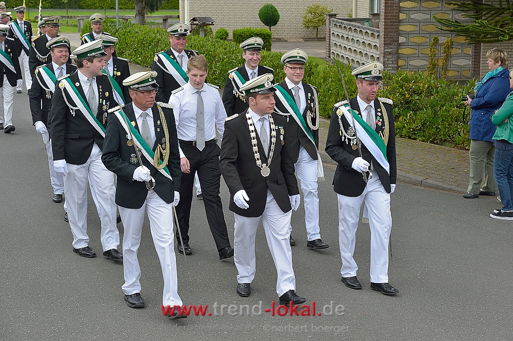 bokeljuschueNBO_8629