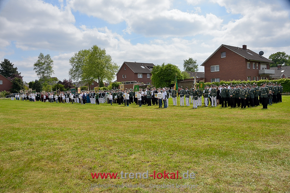 bokeljuschue_FNB3518