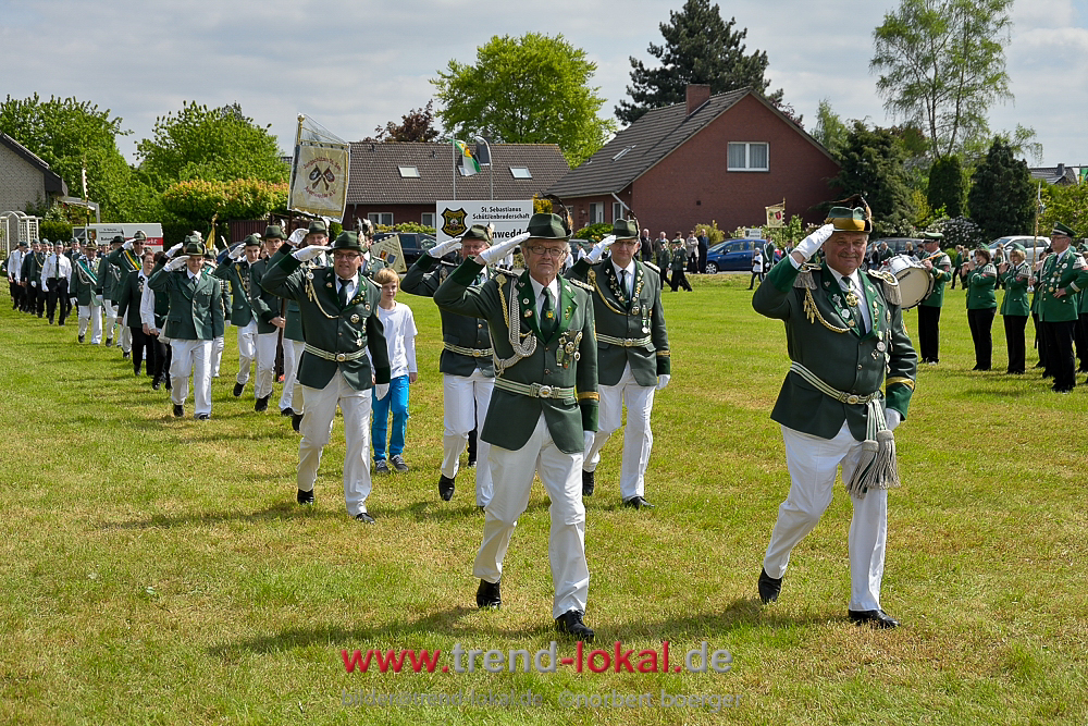 bokeljuschue_FNB3524