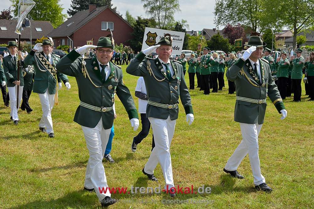 bokeljuschue_FNB3525