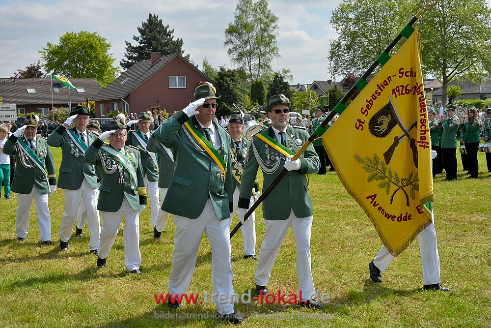 bokeljuschue_FNB3527