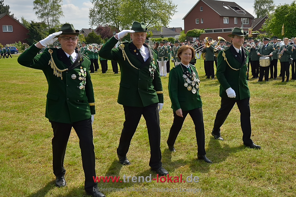 bokeljuschue_FNB3538