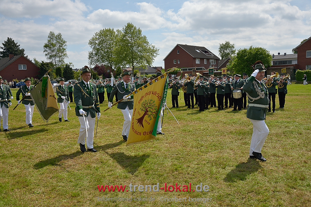 bokeljuschue_FNB3555
