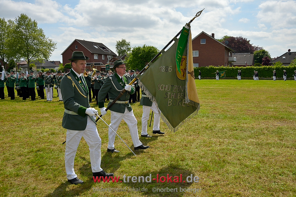bokeljuschue_FNB3556