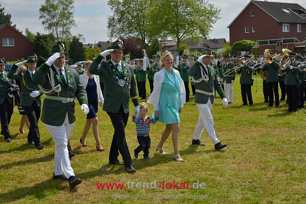bokeljuschue_FNB3558