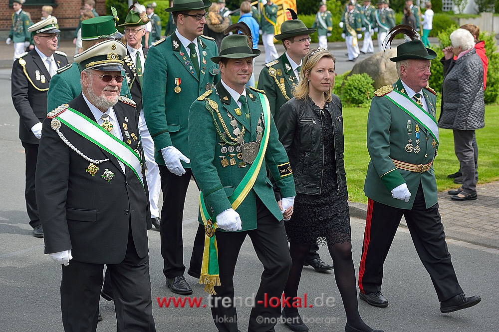bokeljuschueNBO_8504