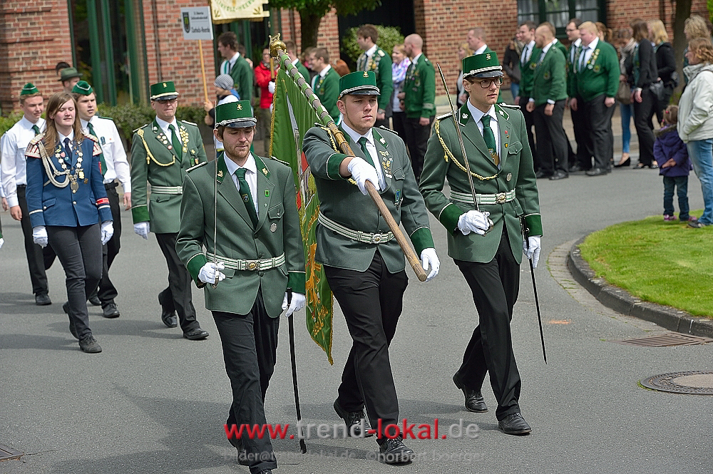 bokeljuschueNBO_8512