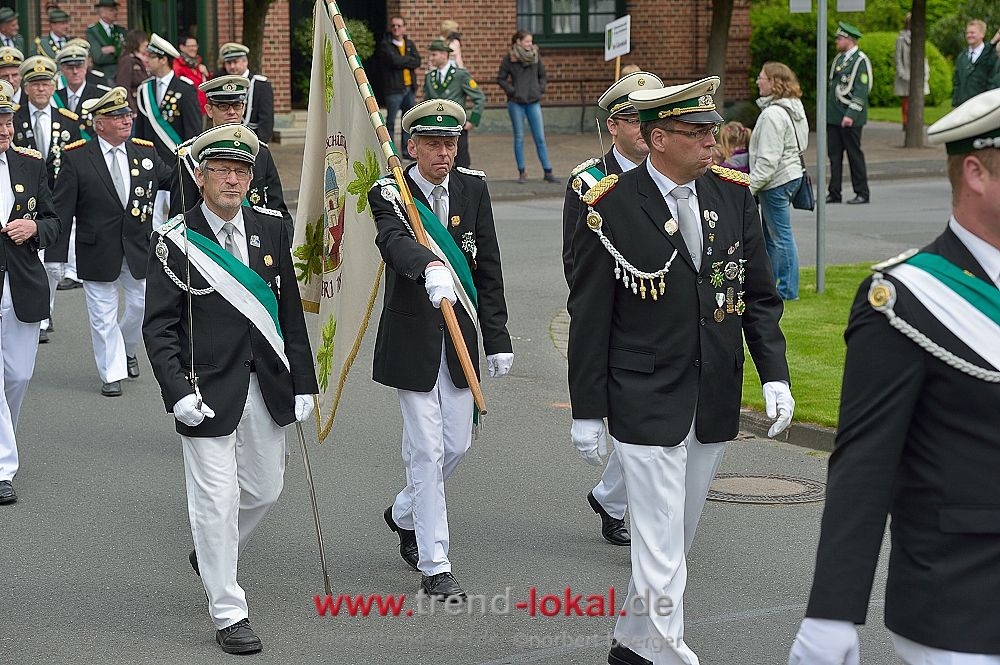 bokeljuschueNBO_8539