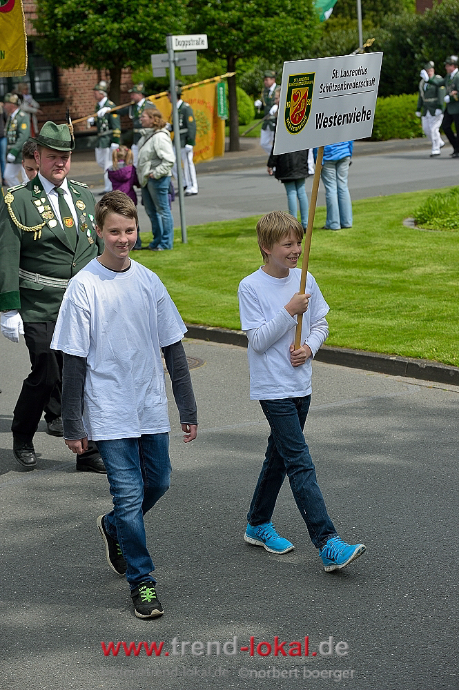 bokeljuschueNBO_8552