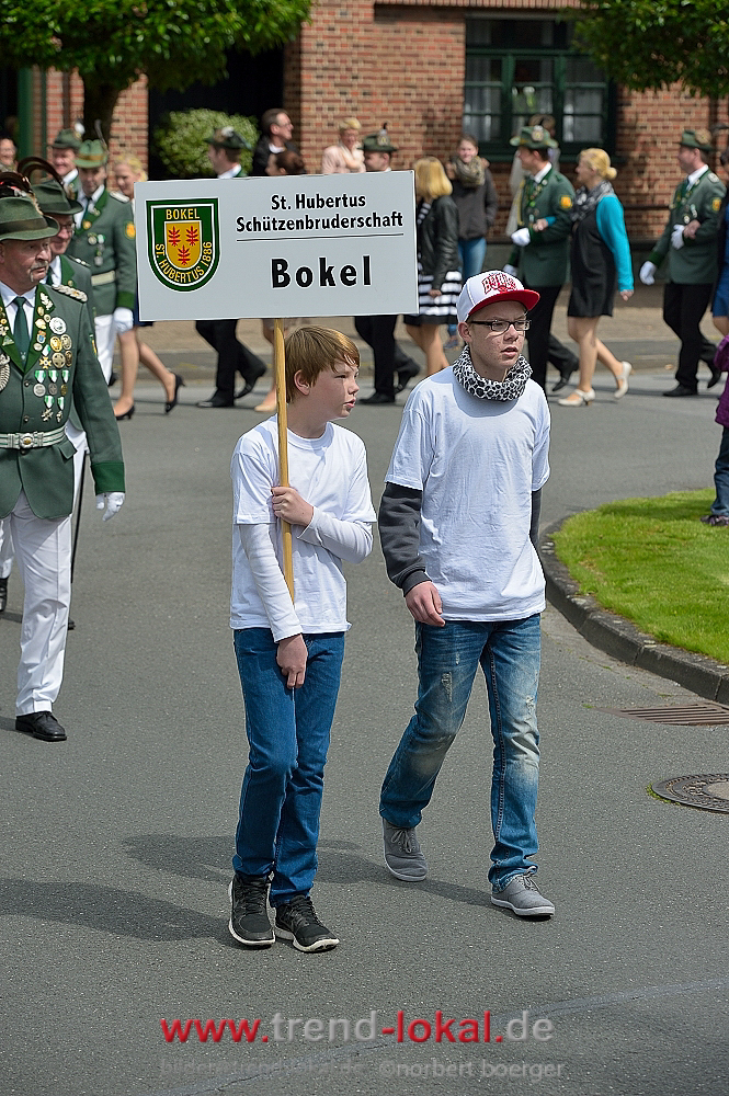 bokeljuschueNBO_8556