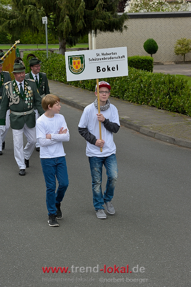 bokeljuschueNBO_8639