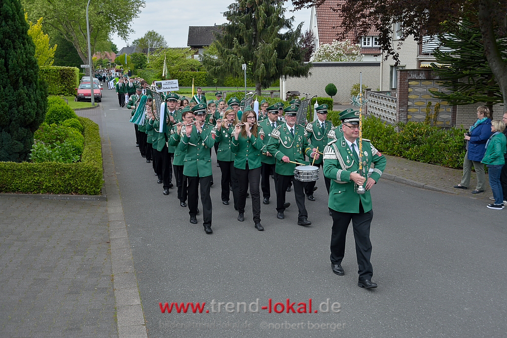 bokeljuschue_FNB3497