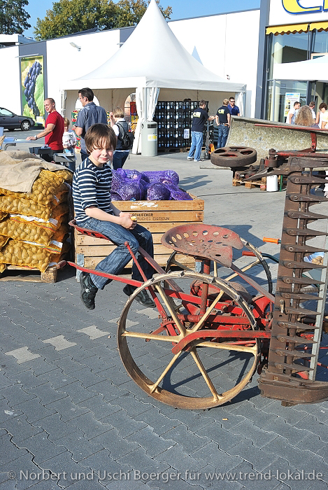 kartoffelDSC_9257