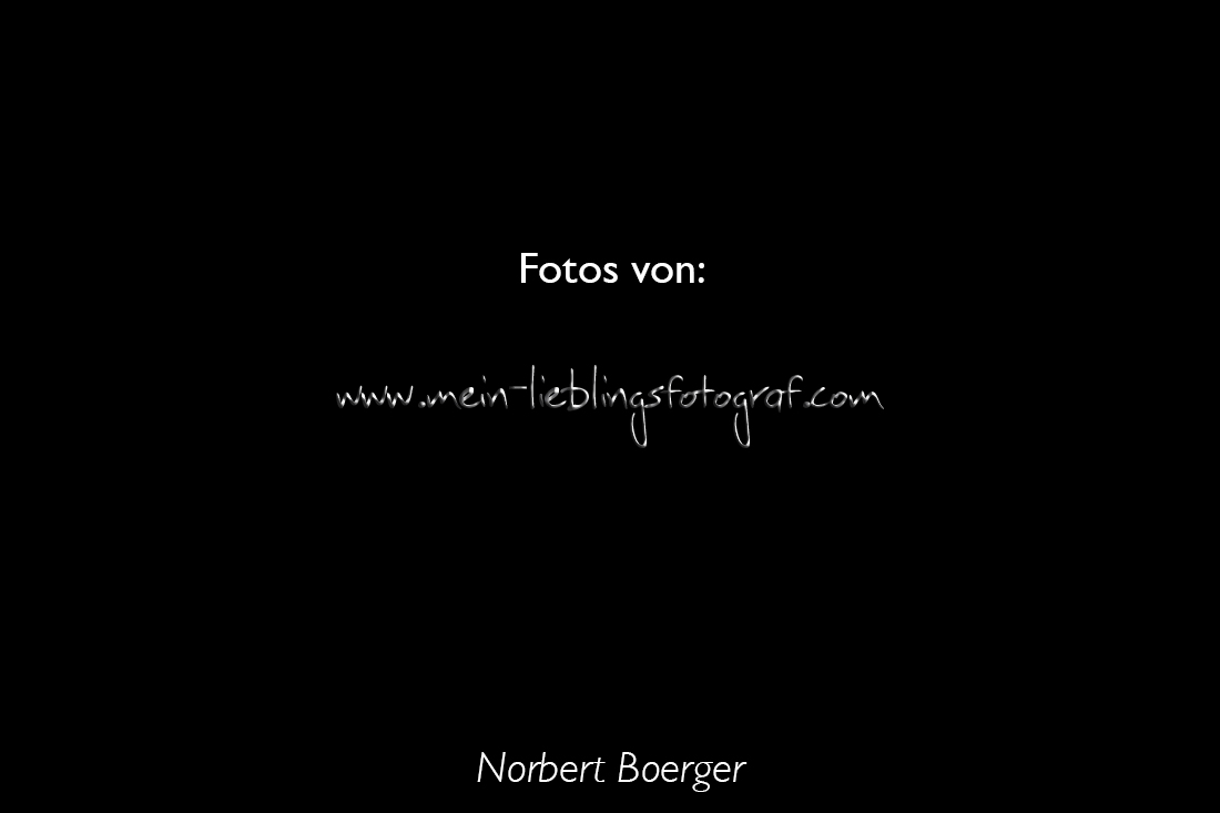 _FNB4765 (2)