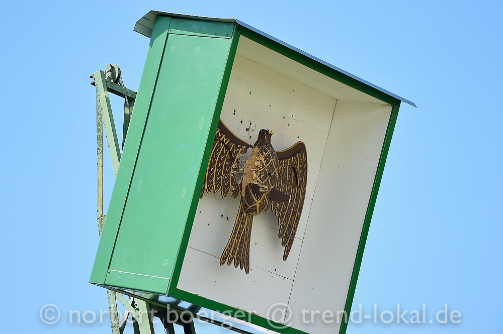 NBO_9958