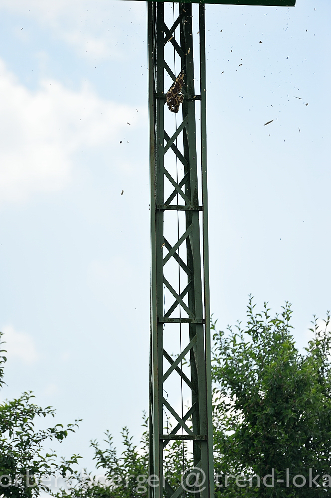 NBO_9982