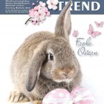 Trend Ausgabe März 2026